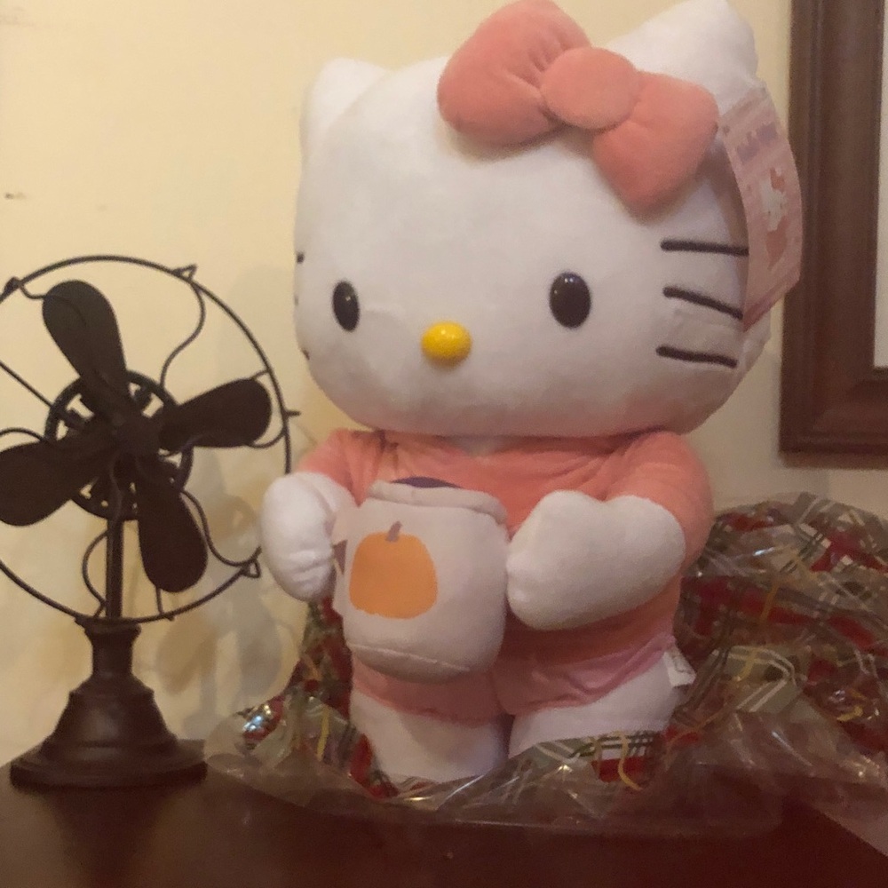 SOLD 💯Hello Kitty with hoodie